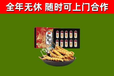 班玛回收冬虫夏草价格